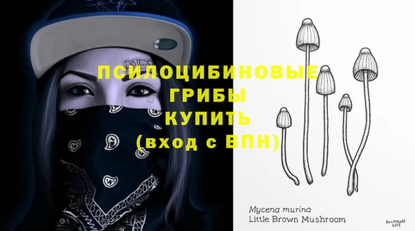 ПСИЛОЦИБИНОВЫЕ ГРИБЫ Богородицк