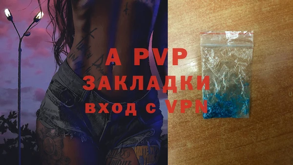 ПСИЛОЦИБИНОВЫЕ ГРИБЫ Богородицк