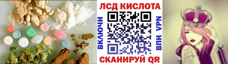 купить наркоту  Новосокольники  LSD-25 экстази ecstasy 