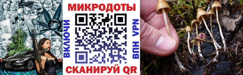 наркотики  Новосокольники  Галлюциногенные грибы мицелий 